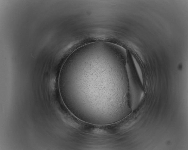 X0000094820596200711241510