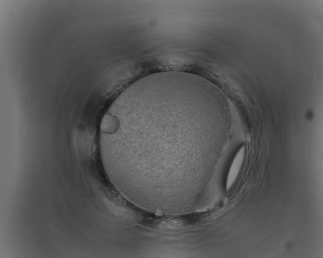 X0000094820599200711241510
