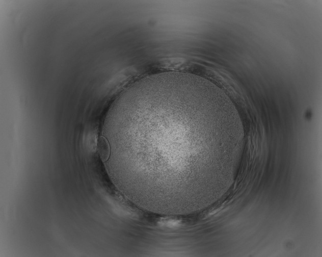 X0000094820602200711241510