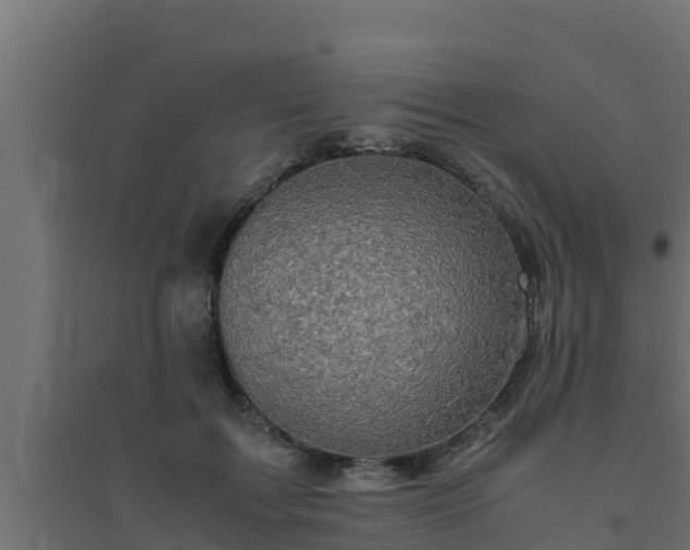 X0000094820603200711241510