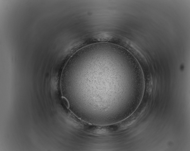 X0000094820604200711241510