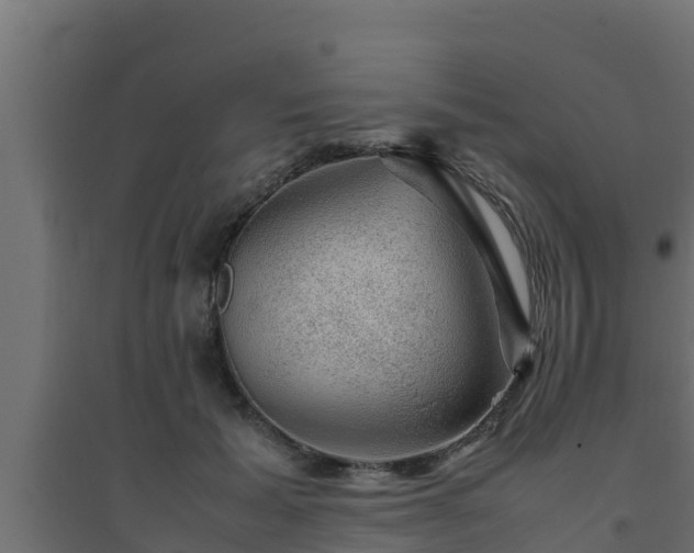 X0000094820605200711241510