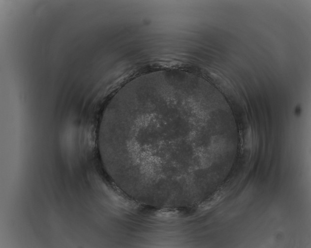 X0000094820606200711241510