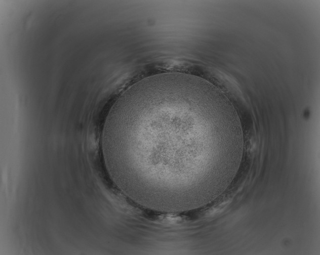 X0000094820607200711241510