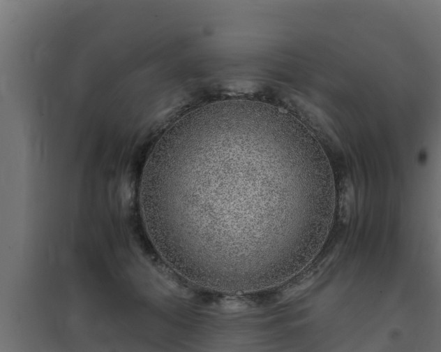X0000094820608200711241510
