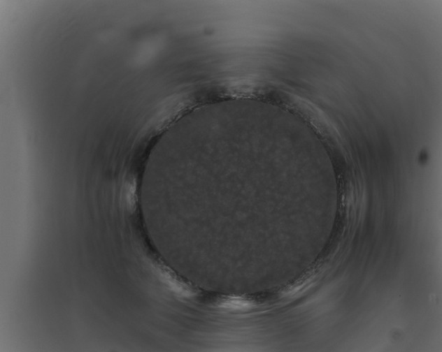 X0000094820610200711241510