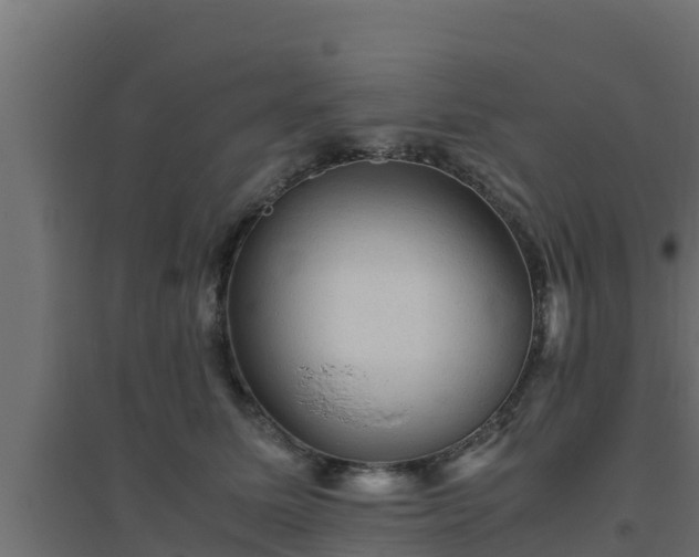 X0000094820611200711241510