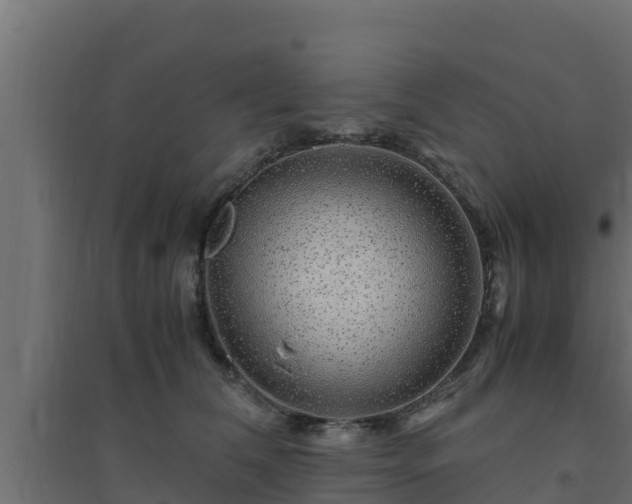 X0000094820612200711241510