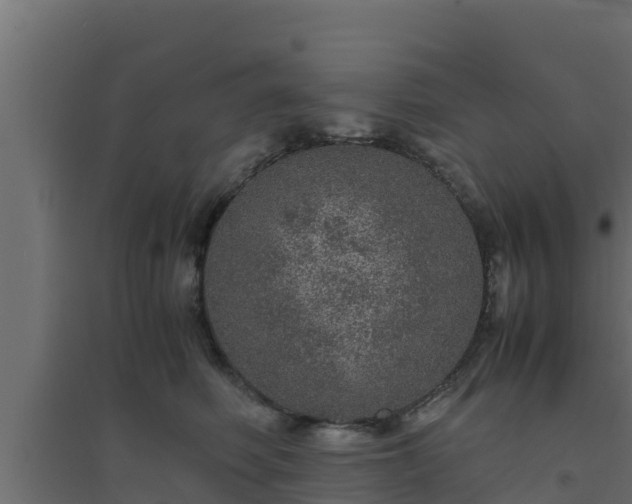 X0000094820614200711241510