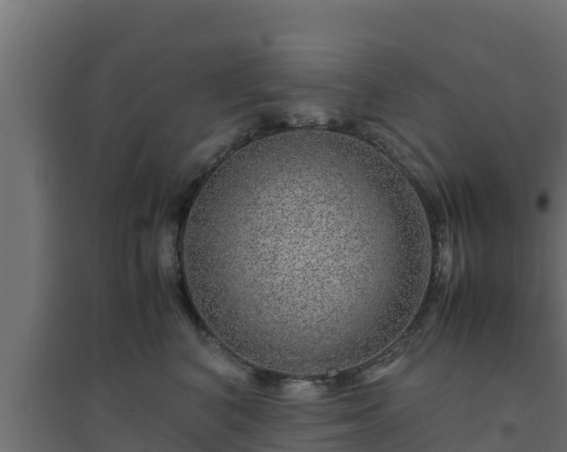 X0000094820616200711241510