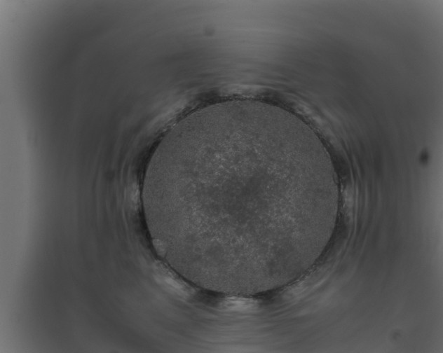 X0000094820617200711241509
