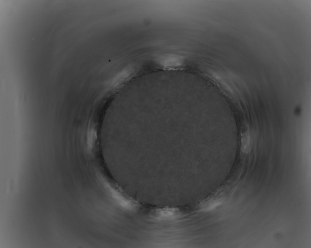 X0000094820618200711241509