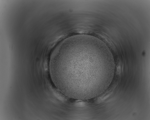 X0000094820620200711241509
