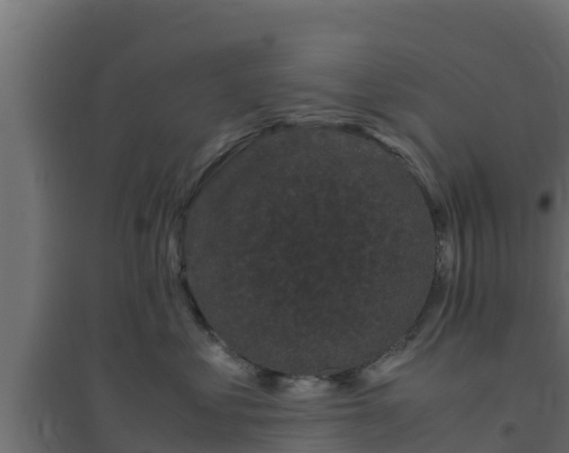 X0000094820621200711241509