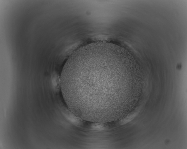 X0000094820624200711241509