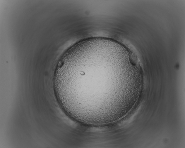 X0000094820625200711241509
