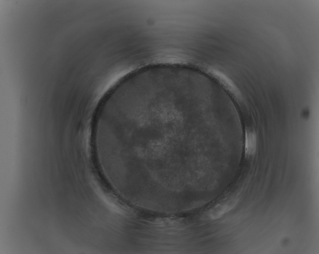 X0000094820627200711241509