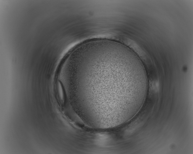X0000094820628200711241509