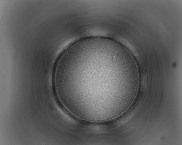 X0000094820629200711241509
