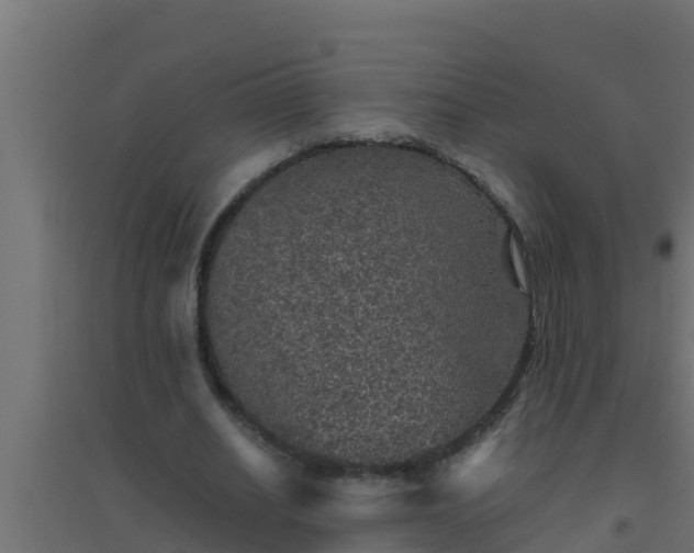 X0000094820630200711241509