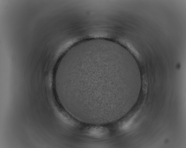 X0000094820631200711241509