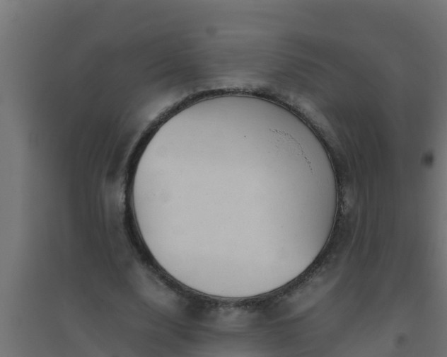 X0000094820632200711241509
