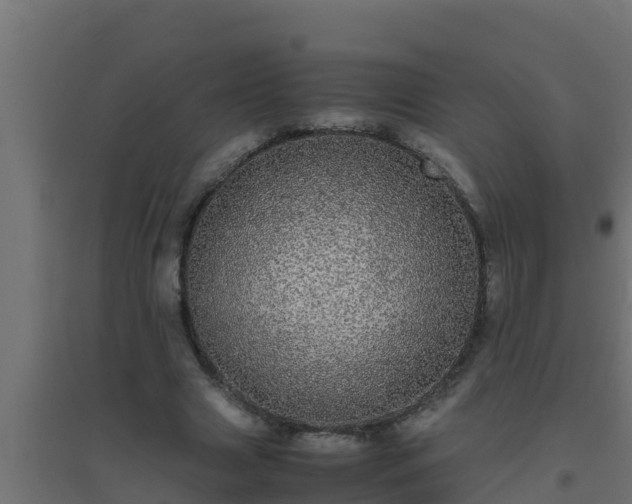 X0000094820633200711241509