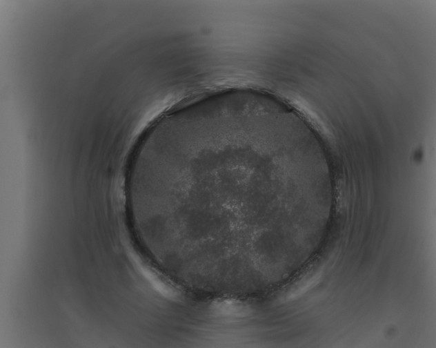 X0000094820634200711241509