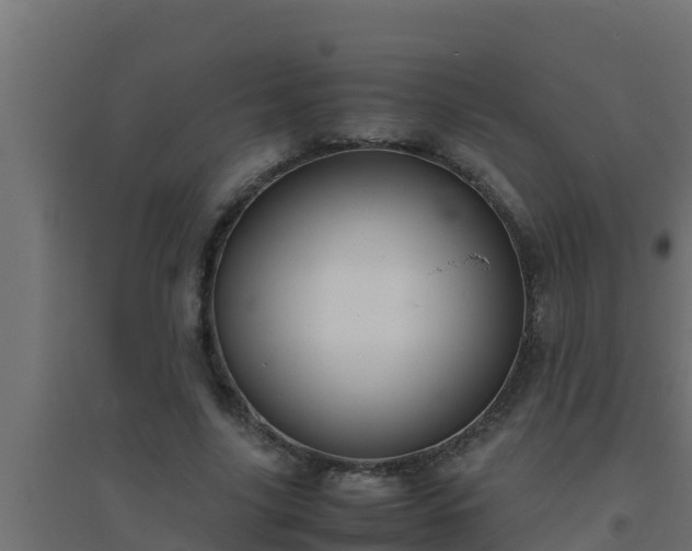 X0000094820635200711241509