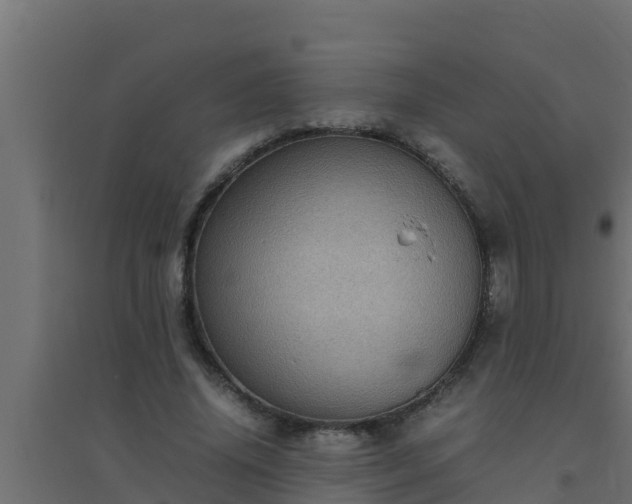 X0000094820636200711241509