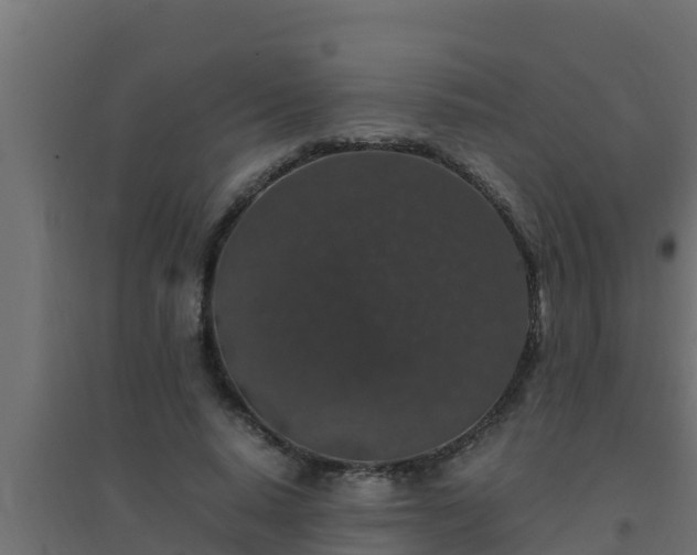 X0000094820640200711241509