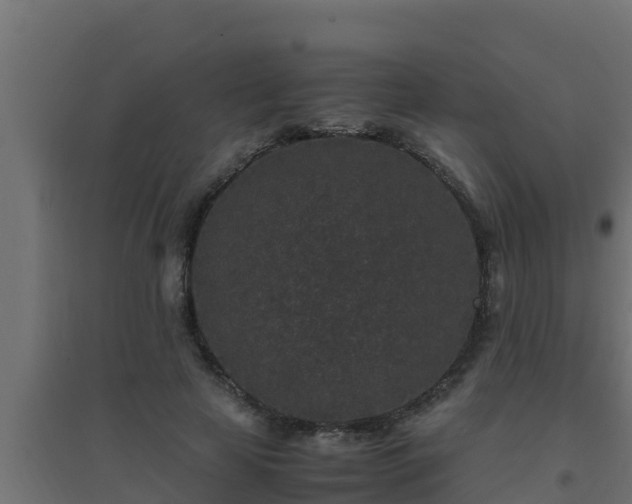 X0000094820641200711241509