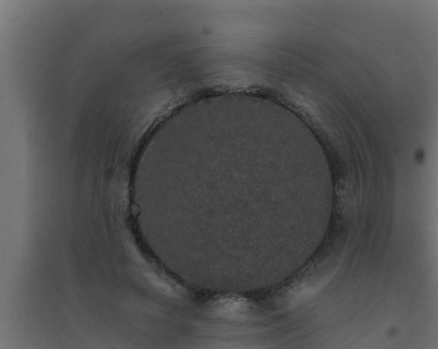 X0000094820642200711241509