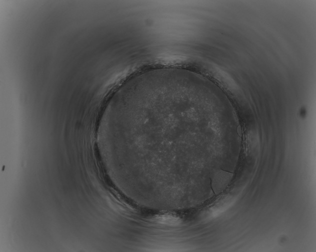 X0000094820644200711241509
