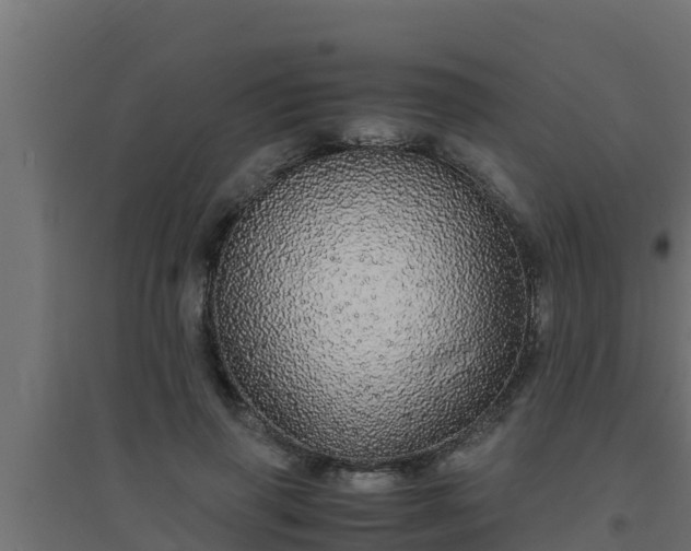 X0000094820645200711241509
