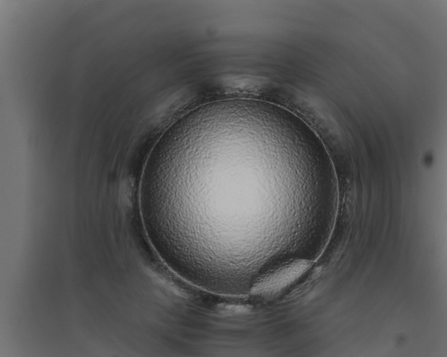 X0000094820649200711241509