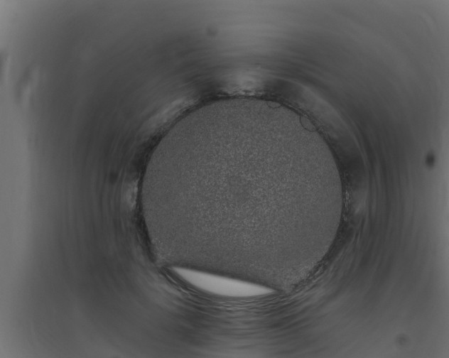 X0000094820652200711241509
