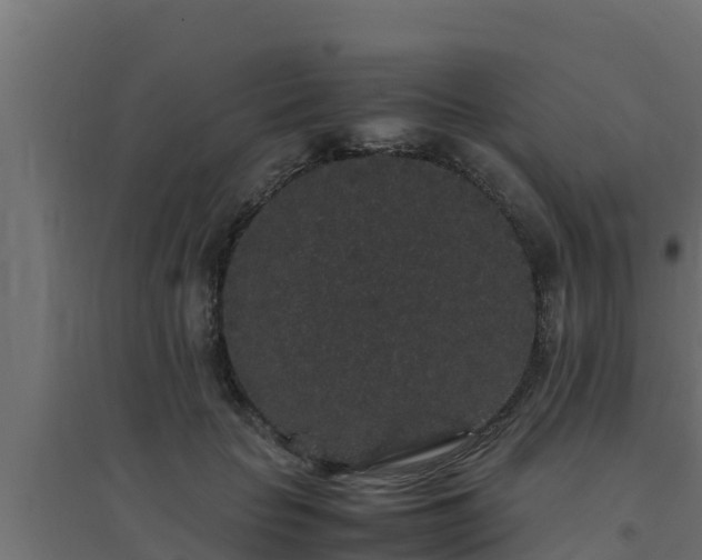 X0000094820653200711241509