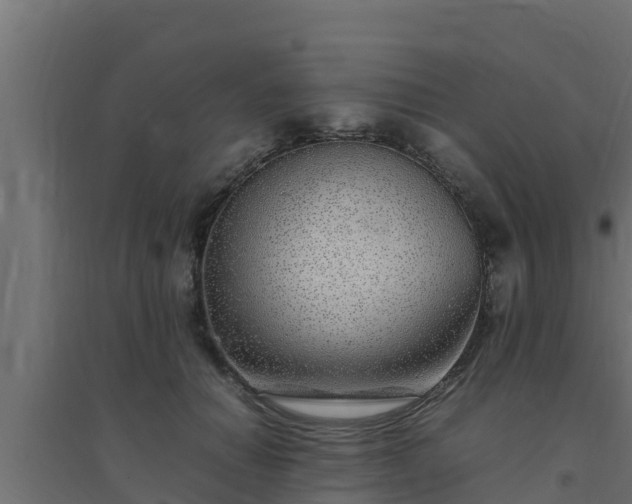 X0000094820654200711241509