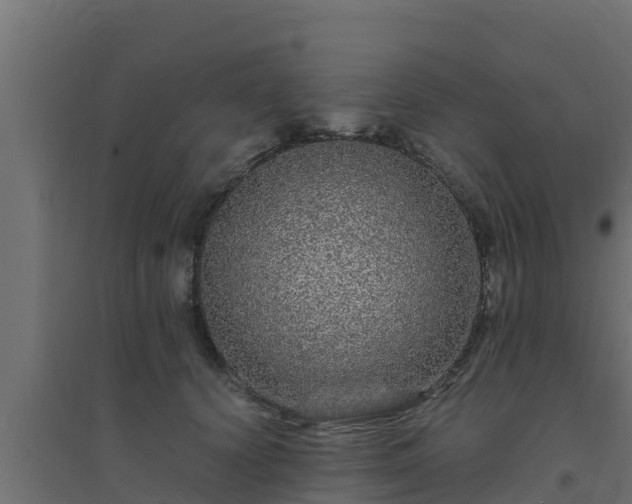 X0000094820656200711241509