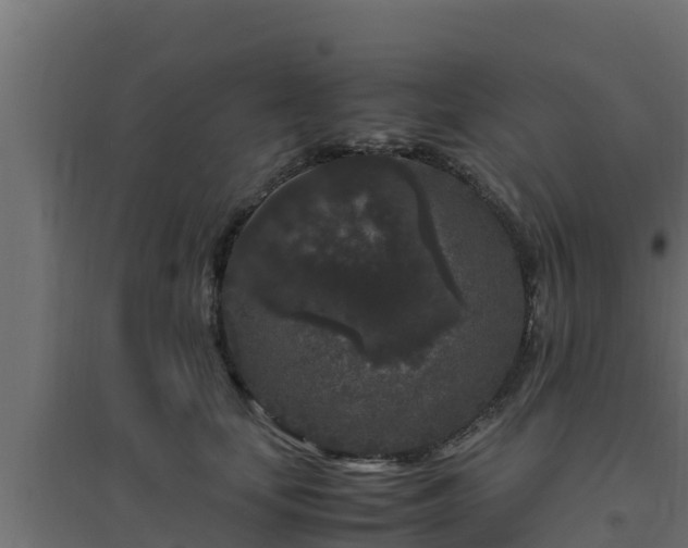 X0000094820659200711241509