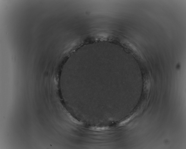 X0000094820661200711241509