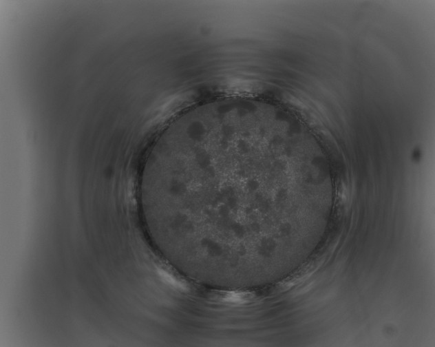 X0000094820663200711241509