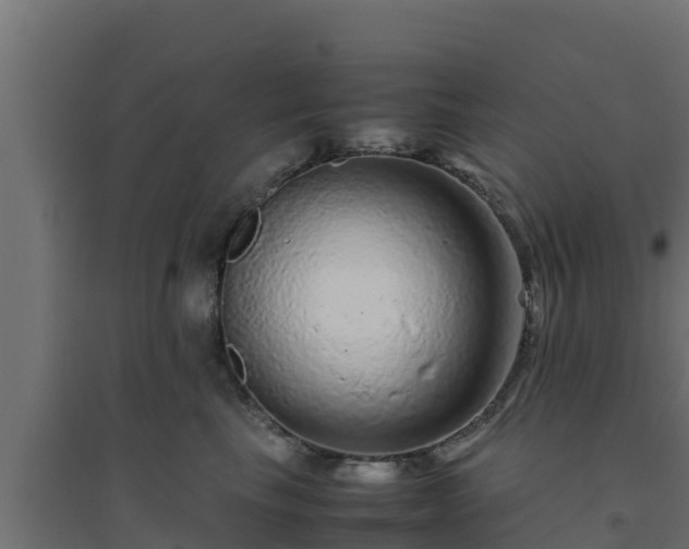 X0000094820665200711241509