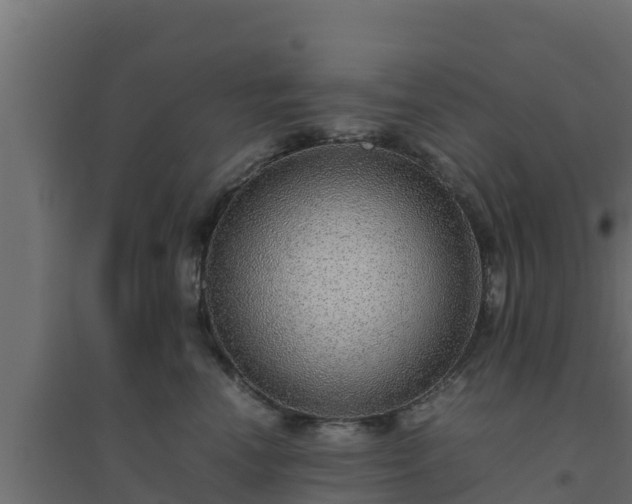 X0000094820666200711241509