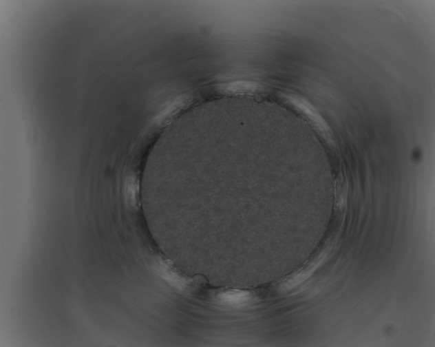 X0000094820669200711241509