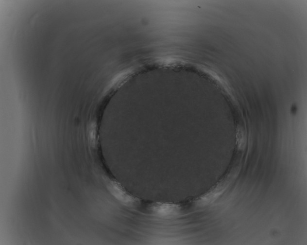 X0000094820670200711241509
