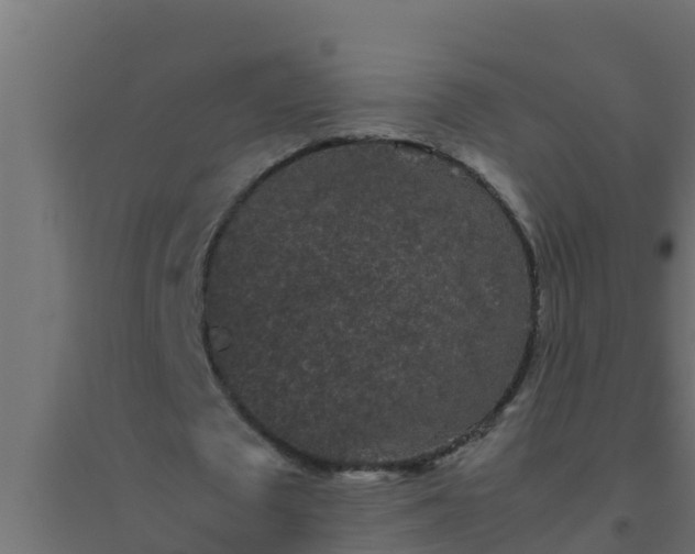 X0000094820673200711241509