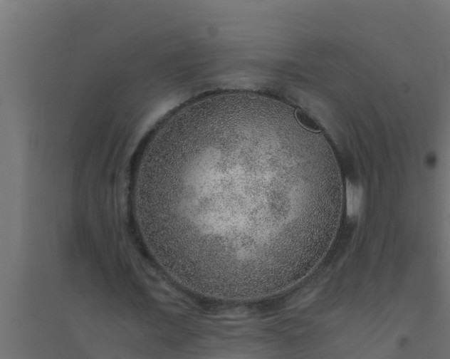 X0000094820675200711241509