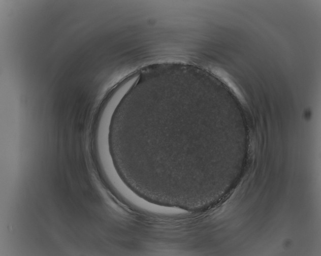 X0000094820677200711241508